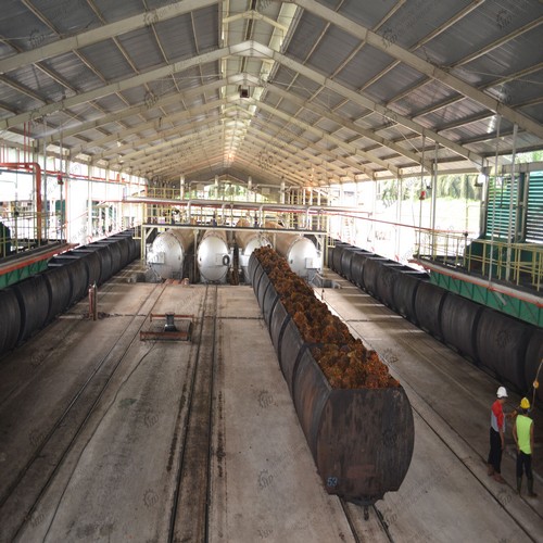 les machines de traitement du raffinage de l'huile de palme trouvent de l'huile comestible